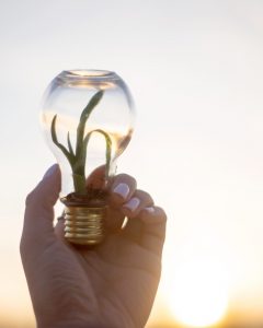 Responsabilidade social empresarial - Lâmpada com planta